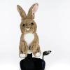 Daphne's Hase Headcover