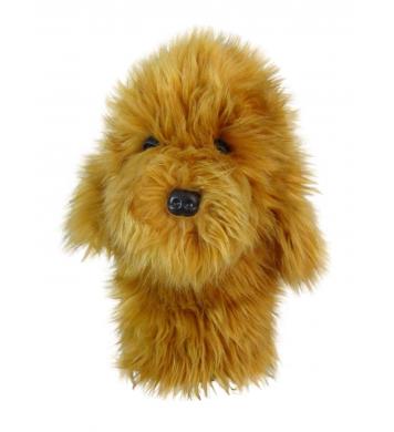 Daphne's Goldendoodle Hybrid/Utilitycover Daphne's Goldendoodle Hybrid/Utilitycover